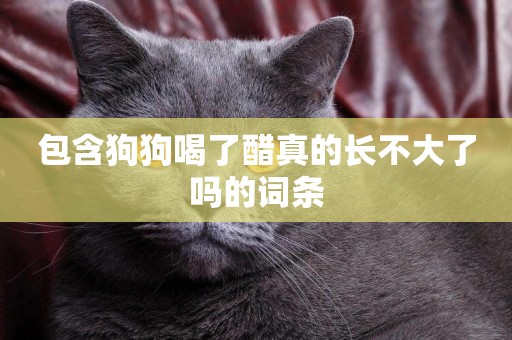 包含狗狗喝了醋真的長不大了嗎的詞條