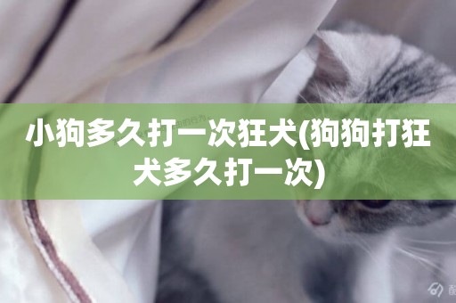 小狗多久打一次狂犬(狗狗打狂犬多久打一次)