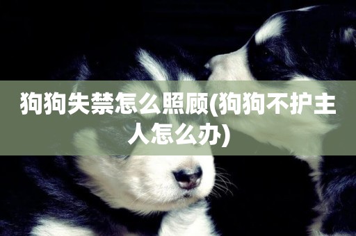 狗狗失禁怎么照顧(狗狗不護主人怎么辦)