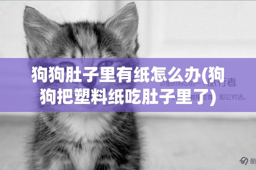 狗狗肚子里有紙怎么辦(狗狗把塑料紙吃肚子里了)