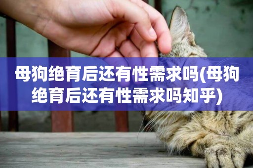母狗絕育后還有性需求嗎(母狗絕育后還有性需求嗎知乎)