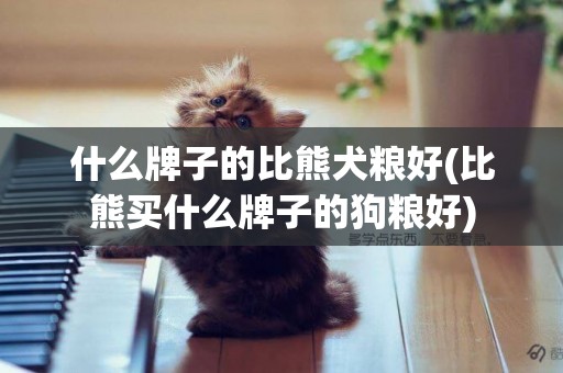 什么牌子的比熊犬糧好(比熊買什么牌子的狗糧好)