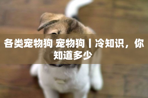 各類寵物狗 寵物狗丨冷知識，你知道多少 
