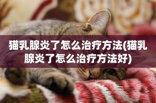 貓乳腺炎了怎么治療方法(貓乳腺炎了怎么治療方法好)