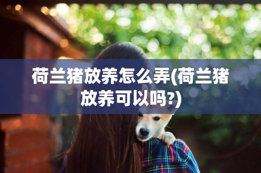 荷蘭豬放養怎么弄(荷蘭豬放養可以嗎?)