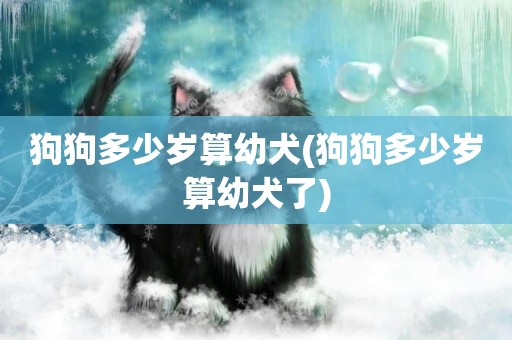 狗狗多少歲算幼犬(狗狗多少歲算幼犬了)