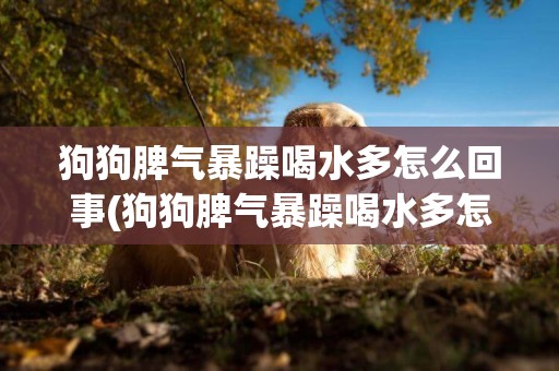狗狗脾氣暴躁喝水多怎么回事(狗狗脾氣暴躁喝水多怎么回事啊)