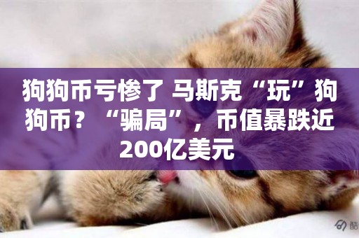 狗狗幣虧慘了 馬斯克“玩”狗狗幣？“騙局”，幣值暴跌近200億美元 