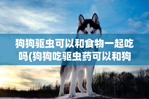 狗狗驅蟲可以和食物一起吃嗎(狗狗吃驅蟲藥可以和狗糧一起吃嗎)