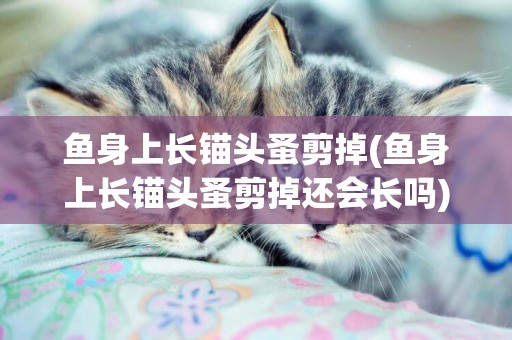 魚身上長錨頭蚤剪掉(魚身上長錨頭蚤剪掉還會長嗎)