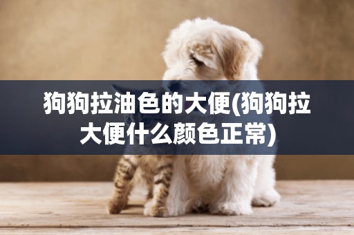 狗狗拉油色的大便(狗狗拉大便什么顏色正常)