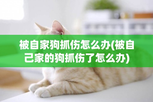 被自家狗抓傷怎么辦(被自己家的狗抓傷了怎么辦)