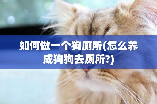 如何做一個狗廁所(怎么養成狗狗去廁所?)