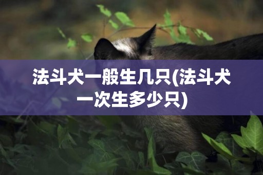 法斗犬一般生幾只(法斗犬一次生多少只)