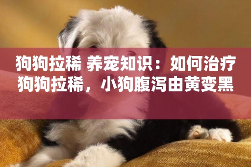 狗狗拉稀 養寵知識：如何治療狗狗拉稀，小狗腹瀉由黃變黑 