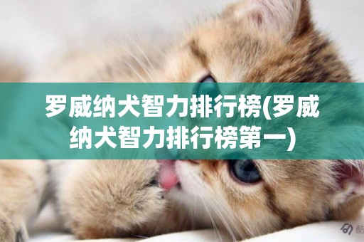 羅威納犬智力排行榜(羅威納犬智力排行榜第一)