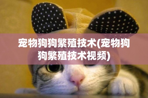 寵物狗狗繁殖技術(寵物狗狗繁殖技術視頻)