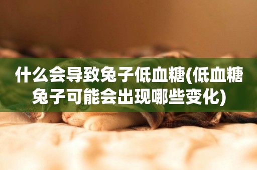 什么會導致兔子低血糖(低血糖兔子可能會出現哪些變化)