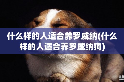 什么樣的人適合養羅威納(什么樣的人適合養羅威納狗)
