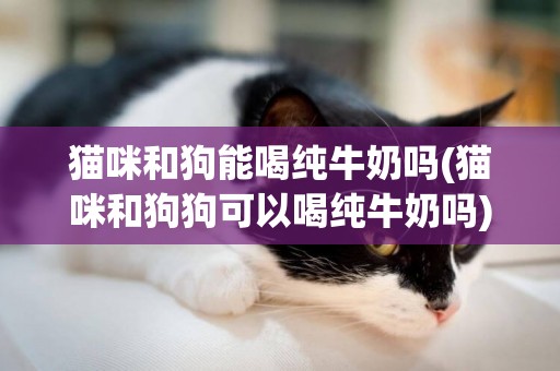 貓咪和狗能喝純牛奶嗎(貓咪和狗狗可以喝純牛奶嗎)
