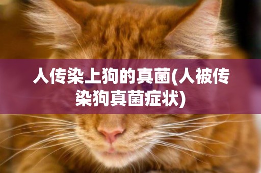 人傳染上狗的真菌(人被傳染狗真菌癥狀)