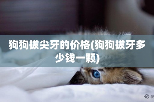 狗狗拔尖牙的價格(狗狗拔牙多少錢一顆)