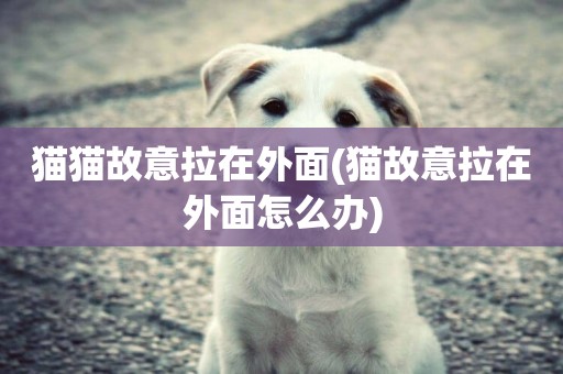 貓貓故意拉在外面(貓故意拉在外面怎么辦)
