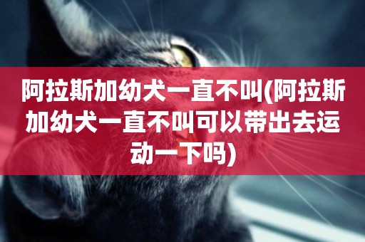 阿拉斯加幼犬一直不叫(阿拉斯加幼犬一直不叫可以帶出去運動一下嗎)