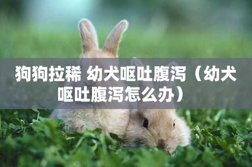 狗狗拉稀 幼犬嘔吐腹瀉（幼犬嘔吐腹瀉怎么辦） 