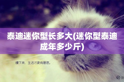 泰迪迷你型長多大(迷你型泰迪成年多少斤)