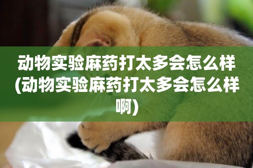 動物實驗麻藥打太多會怎么樣(動物實驗麻藥打太多會怎么樣啊)