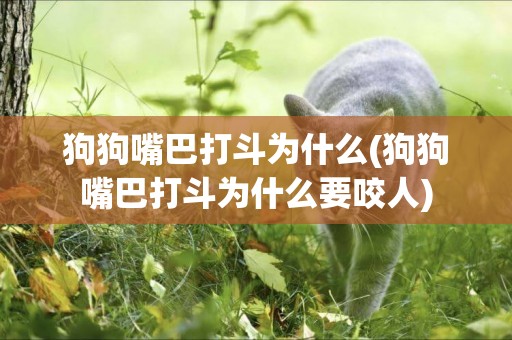 狗狗嘴巴打斗為什么(狗狗嘴巴打斗為什么要咬人)