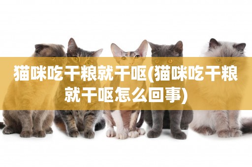 貓咪吃干糧就干嘔(貓咪吃干糧就干嘔怎么回事)