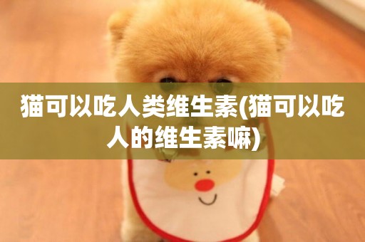 貓可以吃人類維生素(貓可以吃人的維生素嘛)