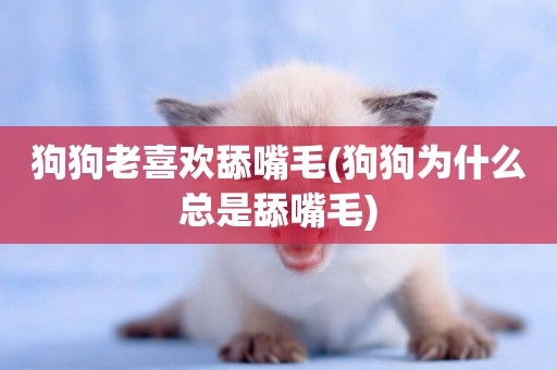狗狗老喜歡舔嘴毛(狗狗為什么總是舔嘴毛)