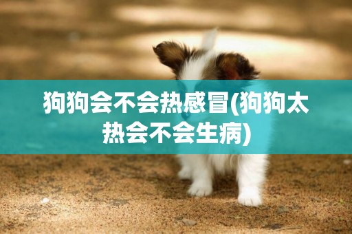 狗狗會不會熱感冒(狗狗太熱會不會生病)