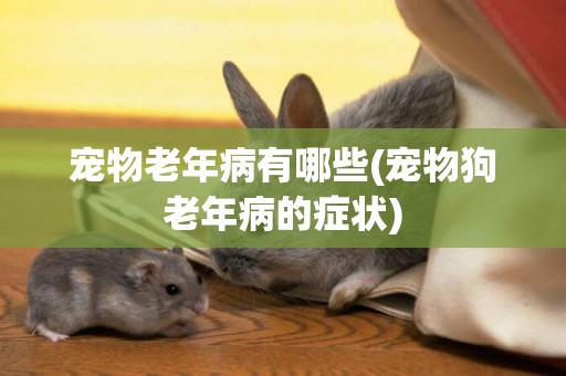 寵物老年病有哪些(寵物狗老年病的癥狀)