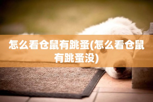 怎么看倉鼠有跳蚤(怎么看倉鼠有跳蚤沒)