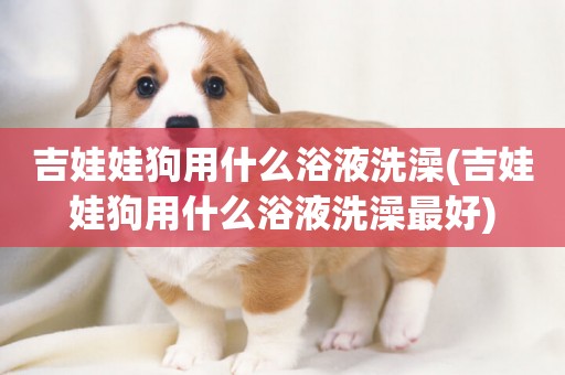 吉娃娃狗用什么浴液洗澡(吉娃娃狗用什么浴液洗澡最好)