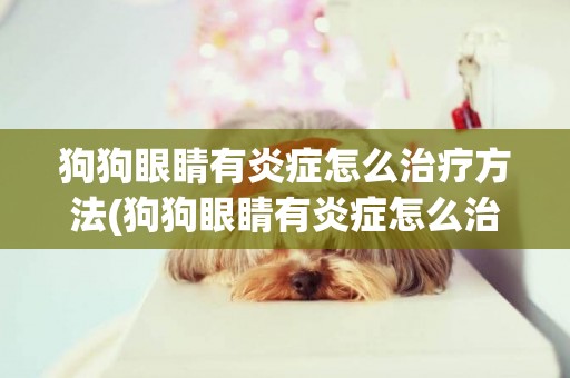 狗狗眼睛有炎癥怎么治療方法(狗狗眼睛有炎癥怎么治療方法圖片)