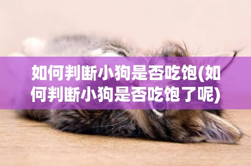如何判斷小狗是否吃飽(如何判斷小狗是否吃飽了呢)