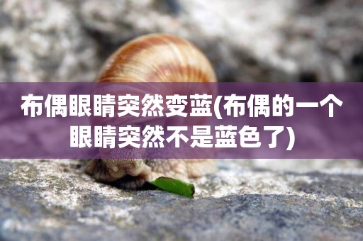 布偶眼睛突然變藍(布偶的一個眼睛突然不是藍色了)