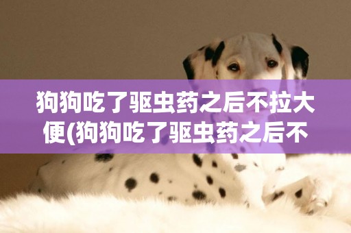 狗狗吃了驅蟲藥之后不拉大便(狗狗吃了驅蟲藥之后不拉大便怎么回事)