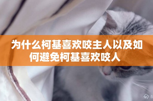 為什么柯基喜歡咬主人以及如何避免柯基喜歡咬人 