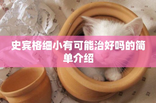 史賓格細小有可能治好嗎的簡單介紹