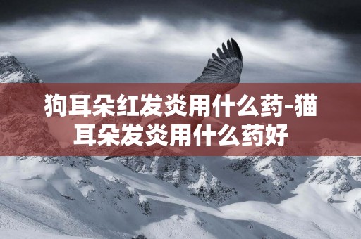 狗耳朵紅發炎用什么藥-貓耳朵發炎用什么藥好