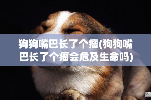 狗狗嘴巴長了個瘤(狗狗嘴巴長了個瘤會危及生命嗎)