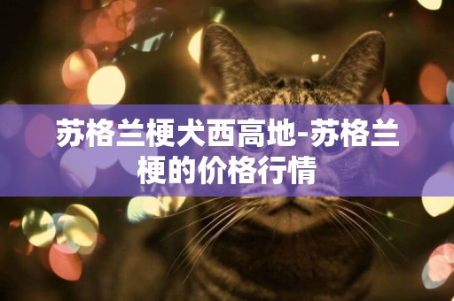 蘇格蘭梗犬西高地-蘇格蘭梗的價格行情