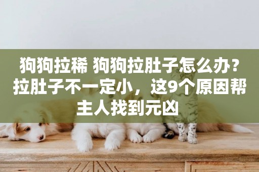 狗狗拉稀 狗狗拉肚子怎么辦？拉肚子不一定小，這9個原因幫主人找到元兇 