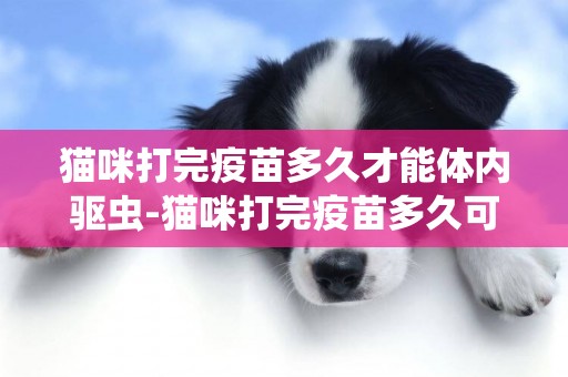 貓咪打完疫苗多久才能體內驅蟲-貓咪打完疫苗多久可以驅蟲